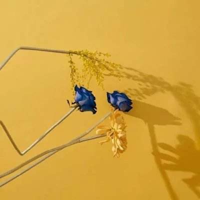 BB贝博app下载截图